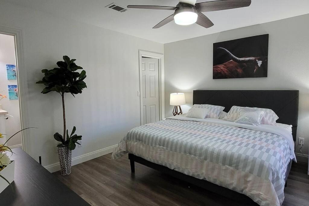 L - Fully Remodeled And Professionally Decorated Las Vegas Bagian luar foto